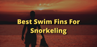 Best Swim Fins For Snorkeling