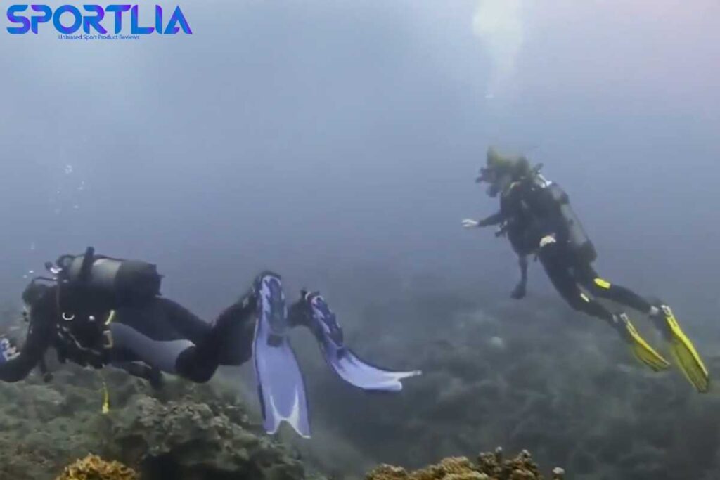 Scuba Diver Wearing Cressi Frog Plus Fins