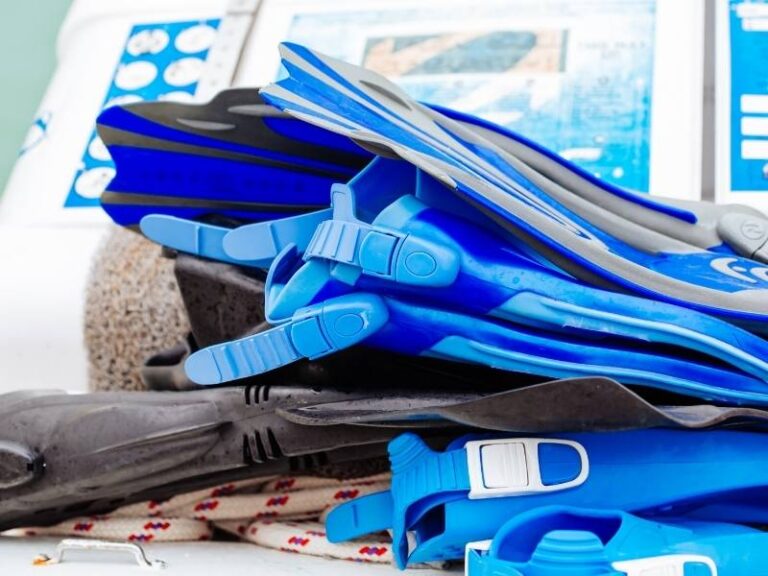 5 Best Fins For Frog Kick In August 2024 Sportlia