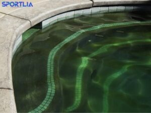 Algae in Swimming Pool